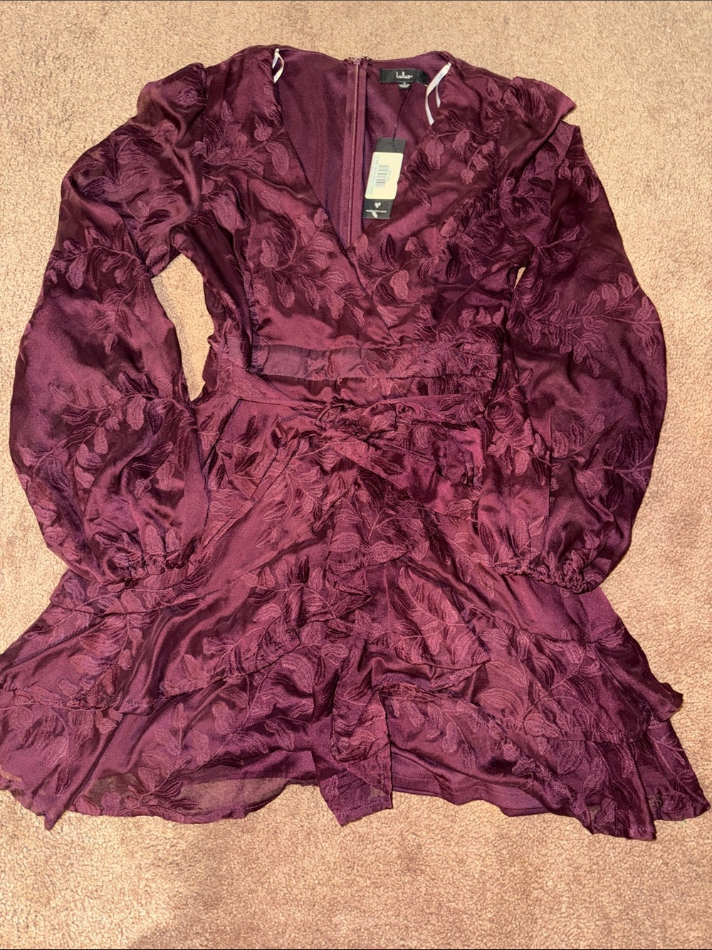 NWT Lulus Romance Floral Embroidered Mini Dress Size Small - Picture 2 of 3